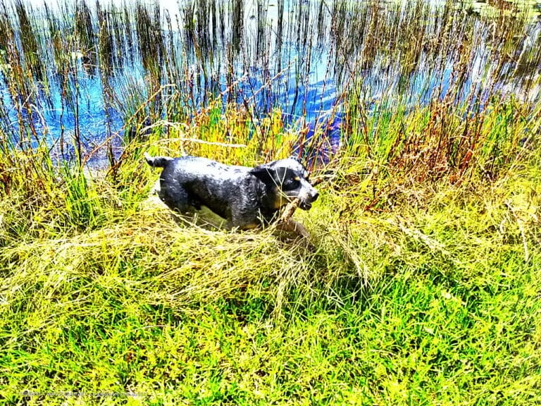 Sunshine in Your Heart 