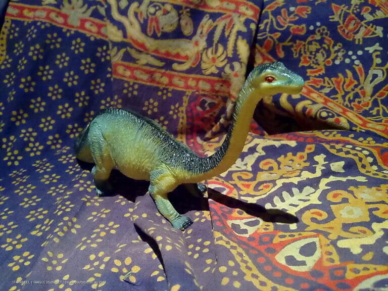 Grafton NSW, Australia 