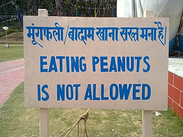 The Vegetarian Revolution 