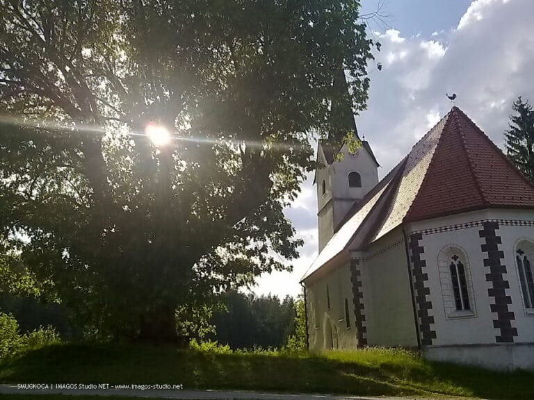 With Those Hands You Did 