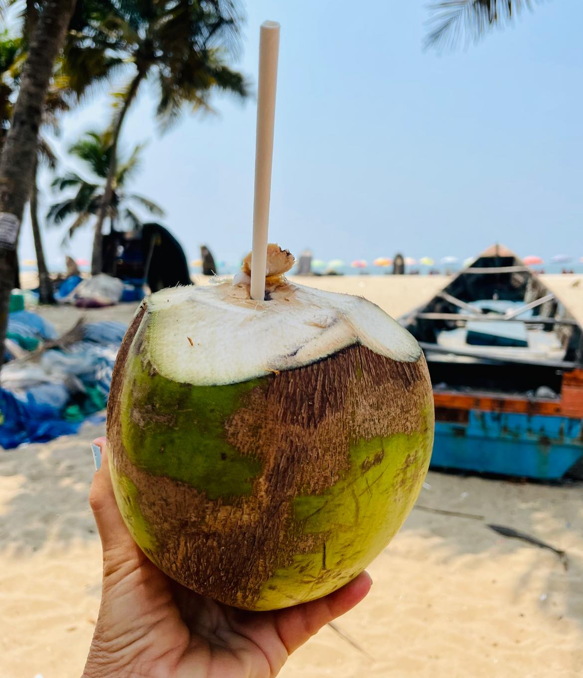 The Lion, Gravely, Eating Straw STARWHEEL The Lion, Gravely, Eating Straw STARWHEEL