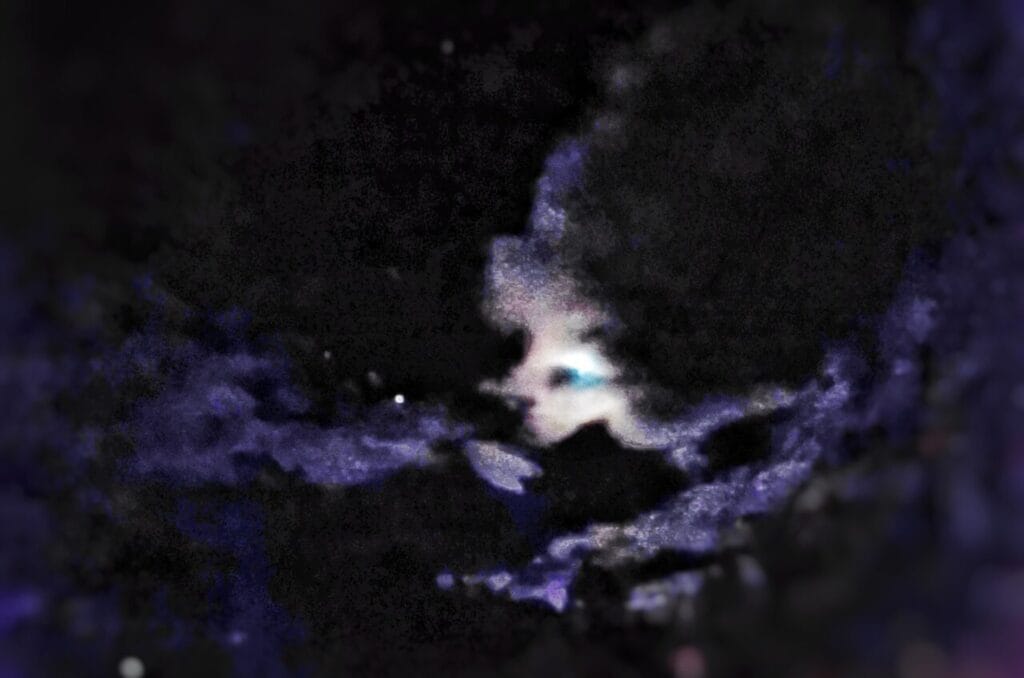 The Hidden Face of Nuit: Entering the Sacred Rose, Leave Me in the Dark STARWHEEL The Hidden Face of Nuit: Entering the Sacred Rose, Leave Me in the Dark STARWHEEL