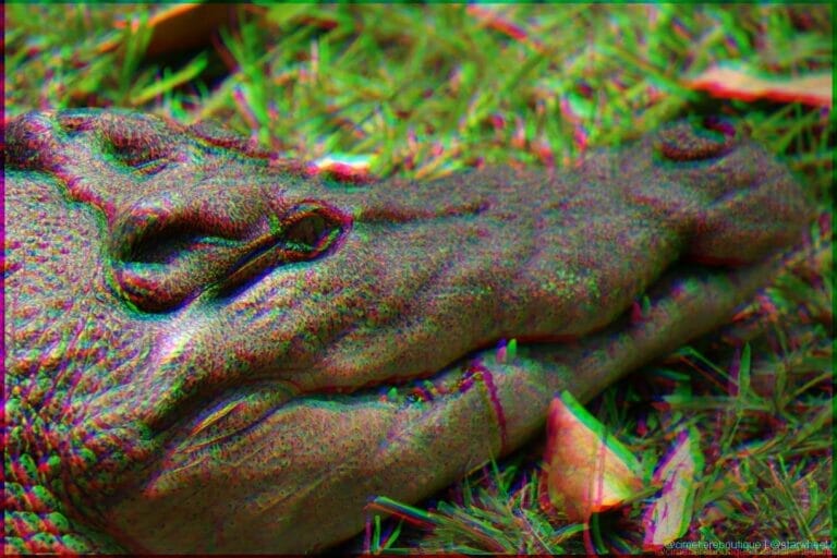 Dreams of Parallelization 