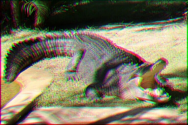 Dreams of Parallelization 