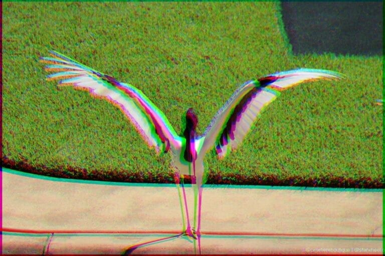 Dreams of Parallelization 