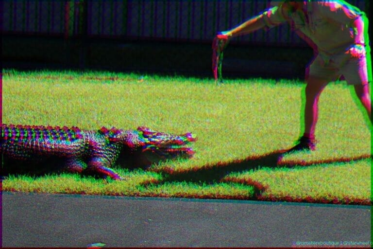 Dreams of Parallelization 