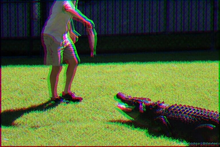 Dreams of Parallelization 