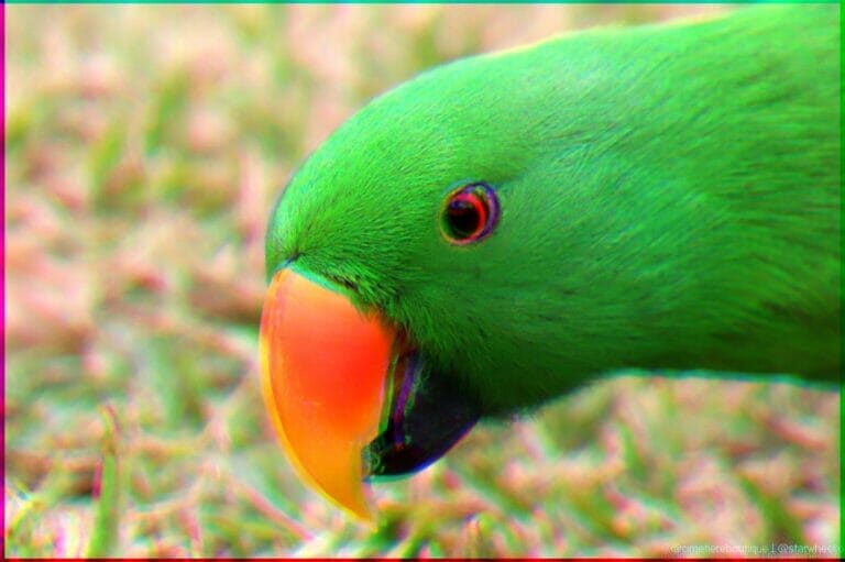 Dreams of Parallelization 