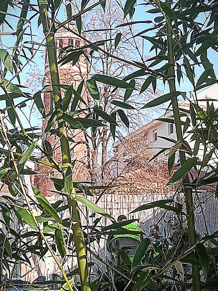 Blagoslovi Narod Tvoj 