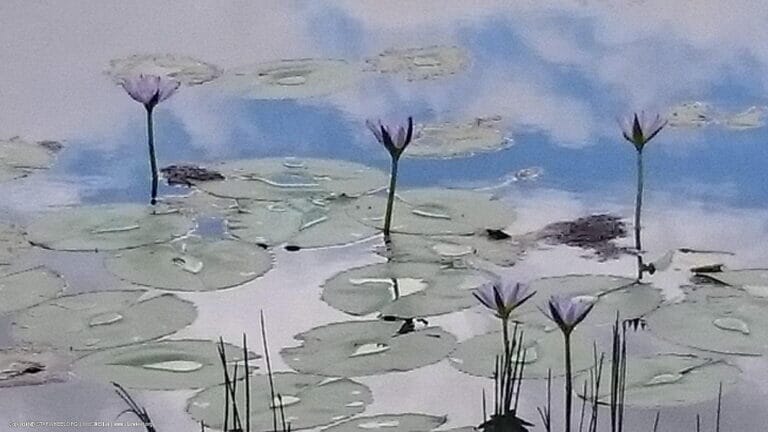 Sunshine in Your Heart 