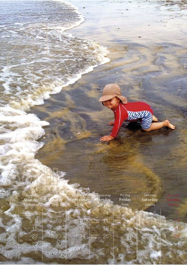 The Year of the Snake 