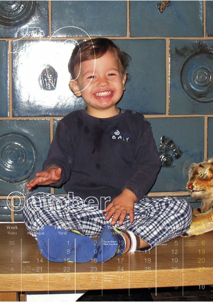 The Year of the Snake 