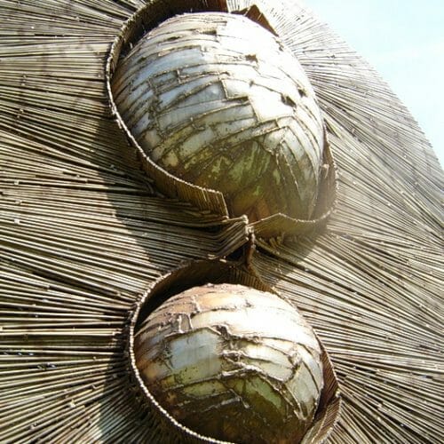 Chechouvje Pechouvje 