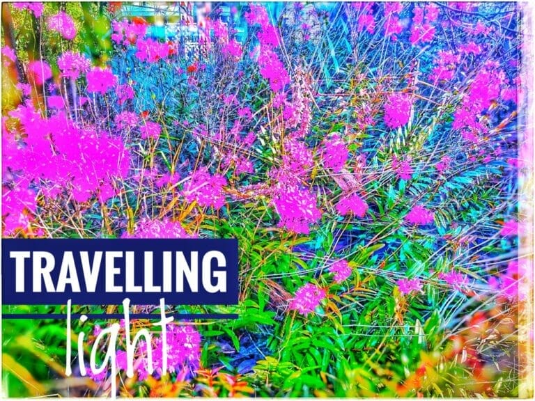 WH4T H4PP3N3D 1N MMXX111? 