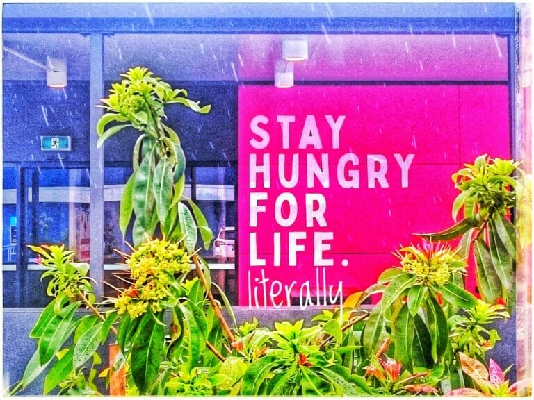 WH4T H4PP3N3D 1N MMXX111? 