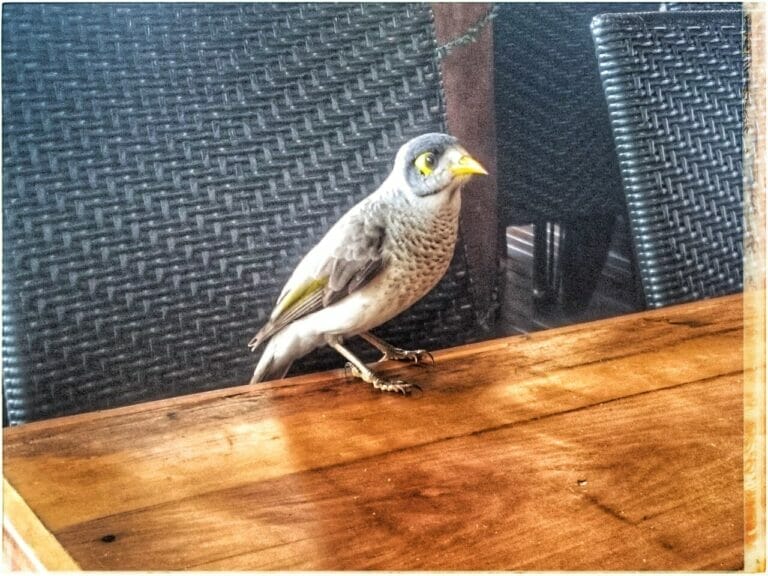 WH4T H4PP3N3D 1N MMXX111? 