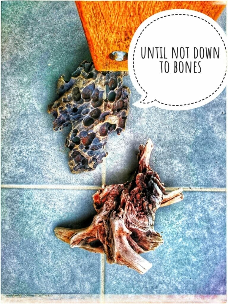 WH4T H4PP3N3D 1N MMXX111? 