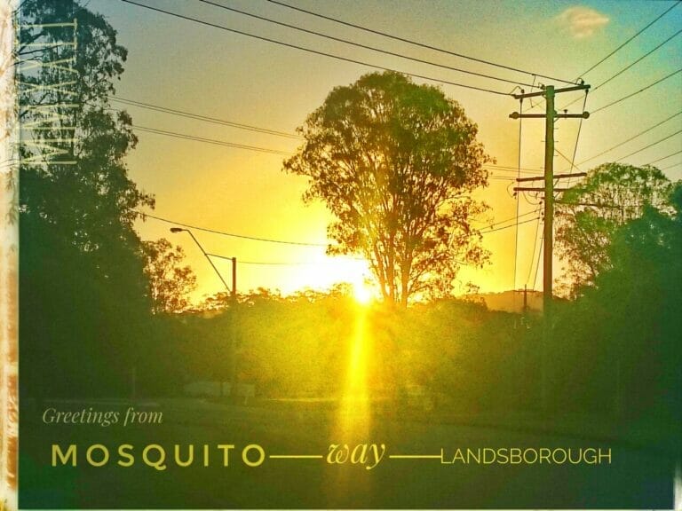 WH4T H4PP3N3D 1N MMXX111? 