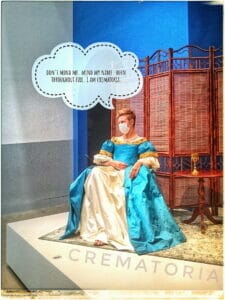 IX/XI 'XXII STARWHEEL IX/XI 'XXII STARWHEEL