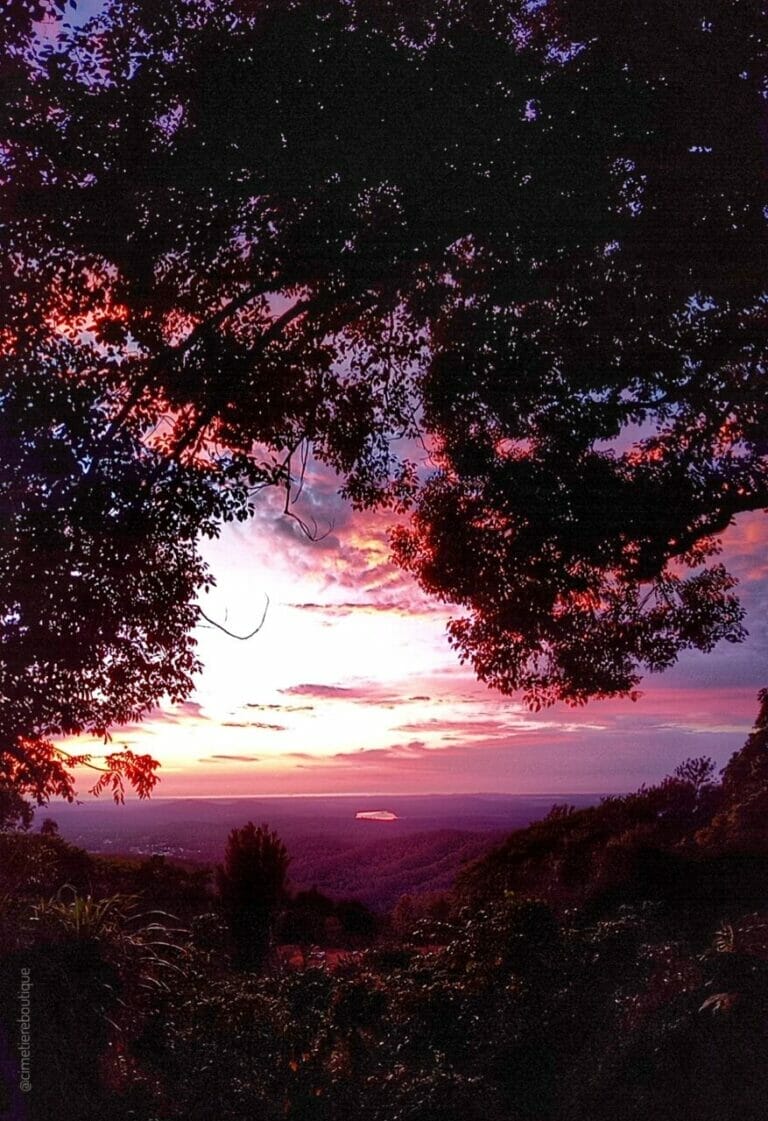 Čudovita jutra, rahlo vlažna 