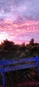 Čudovita jutra, rahlo vlažna