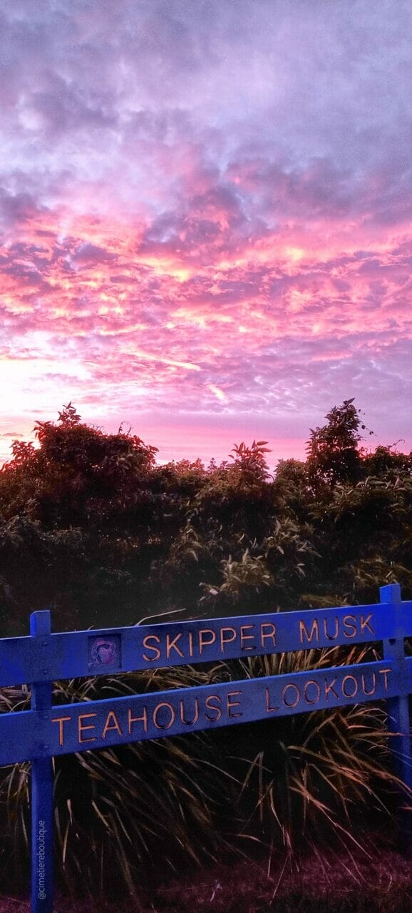 Čudovita jutra, rahlo vlažna 