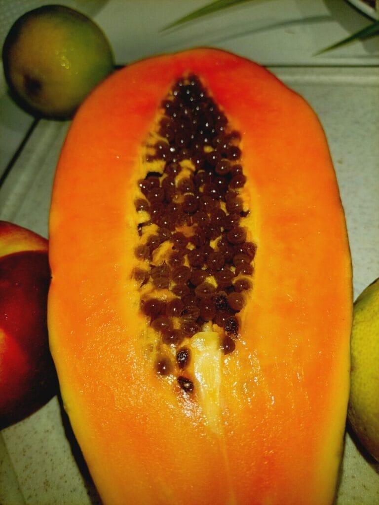 WH4T H4PP3N3D 1N 4724? 