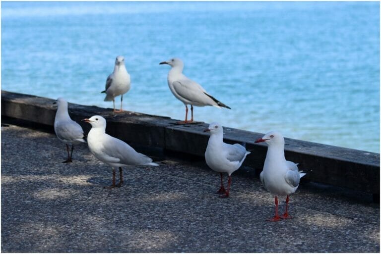 You Have Never Left Egypt 