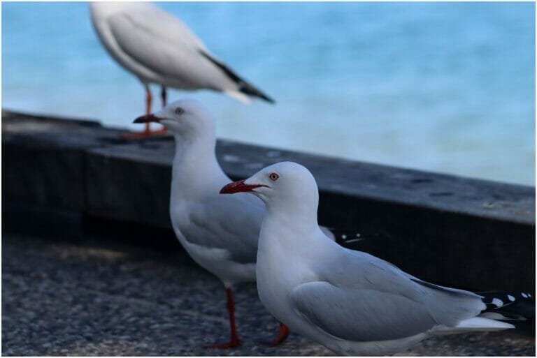 You Have Never Left Egypt 