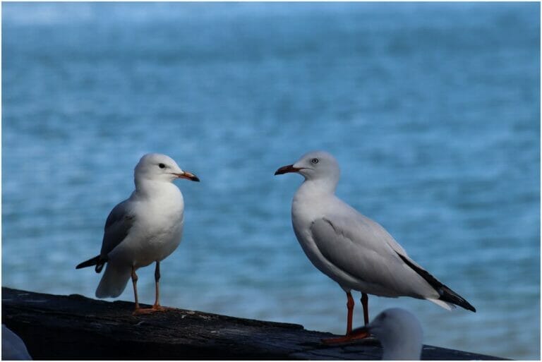 You Have Never Left Egypt 