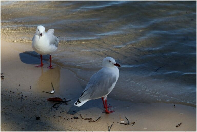 You Have Never Left Egypt 