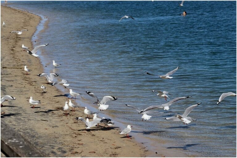 You Have Never Left Egypt 