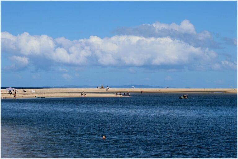 You Have Never Left Egypt 