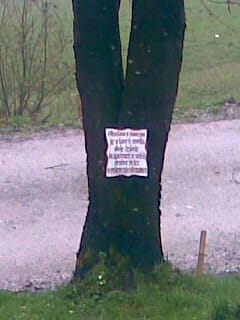 In Your Dreams, Entrapped 