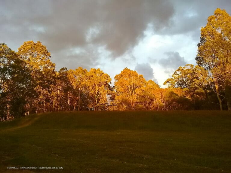 Sunshine in Your Heart 