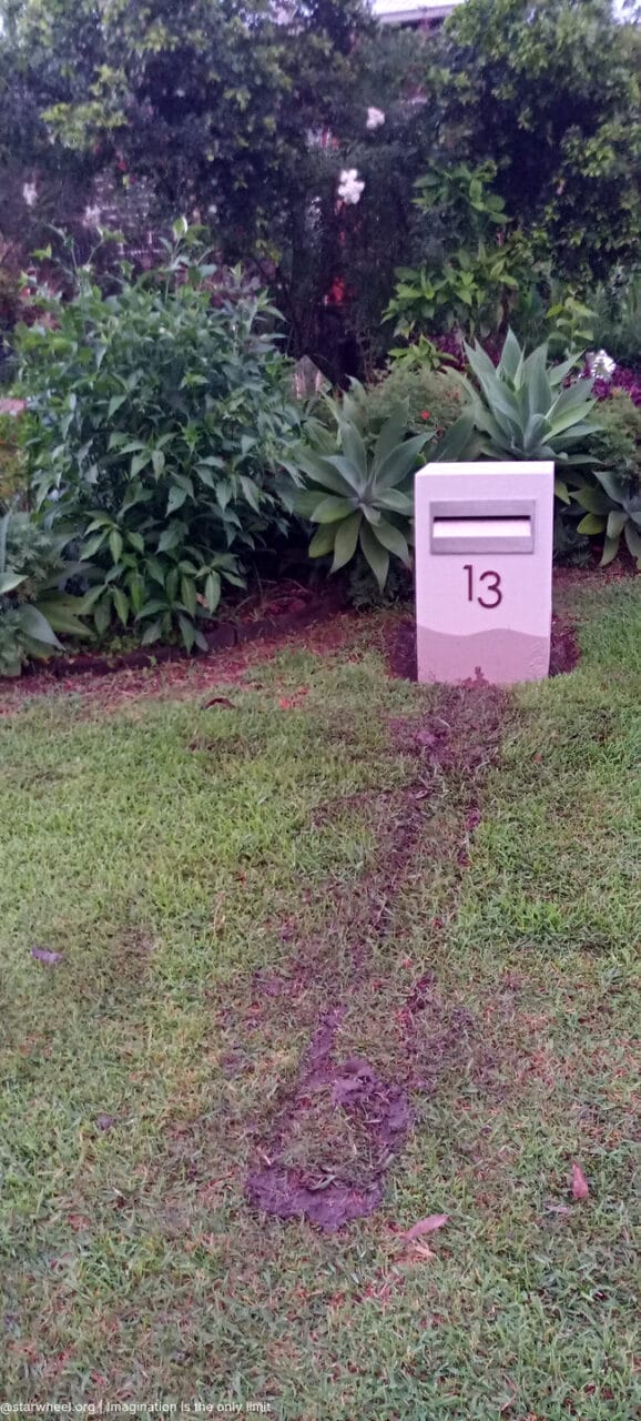 Tom, he Said, was Home 