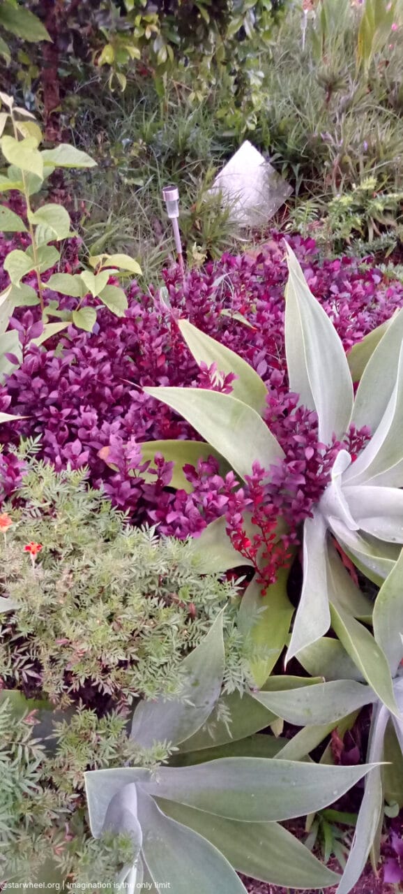 Tom, he Said, was Home 