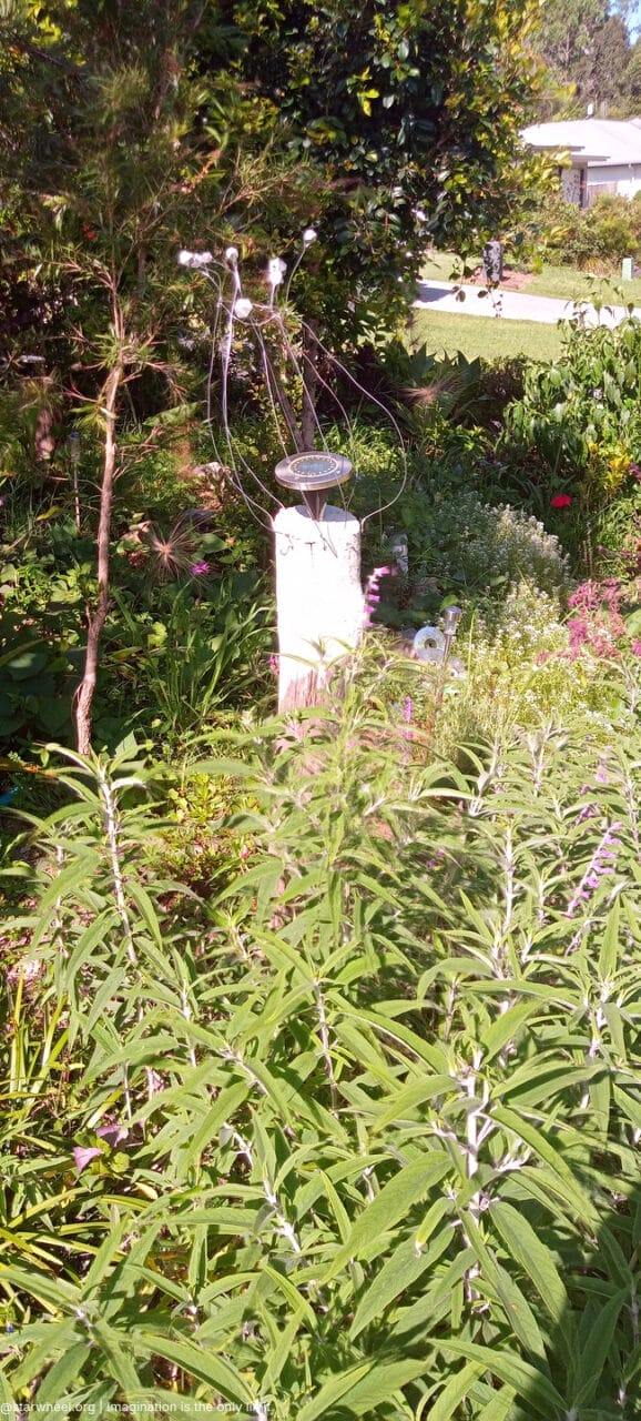 Tom, he Said, was Home 