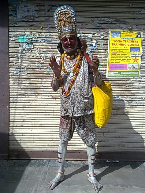 Golden Brahmin's 
