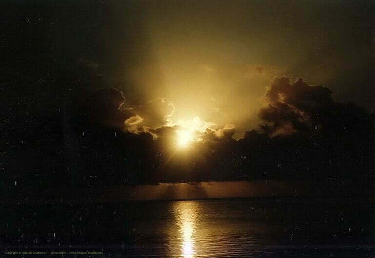 In Your Dreams, Entrapped 