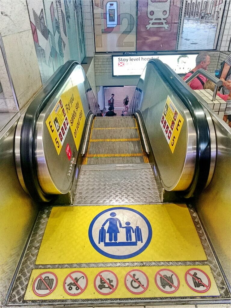 No Body Has a Choice 