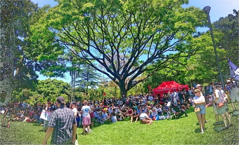 No Body Has a Choice 