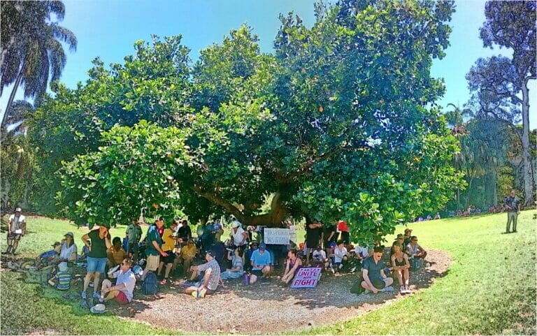 No Body Has a Choice 