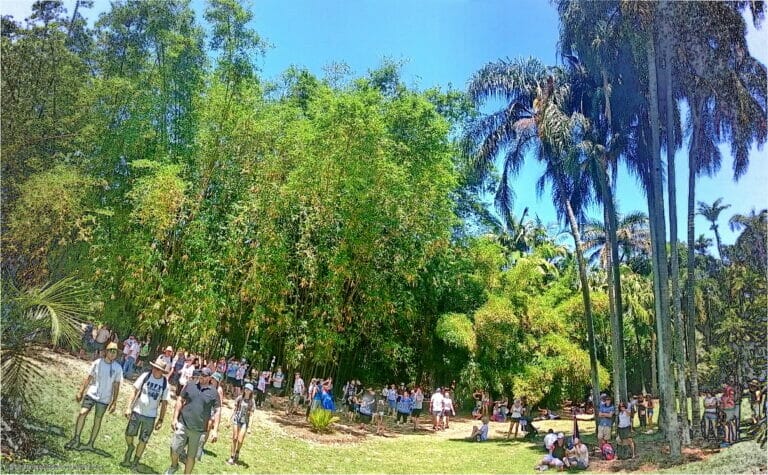 No Body Has a Choice 