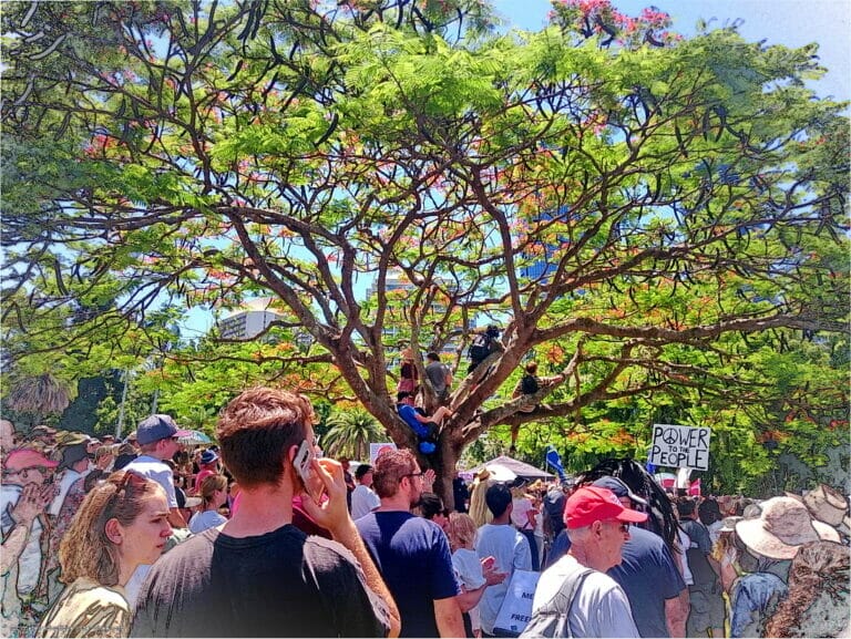 No Body Has a Choice 