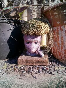 Brainospherus said STARWHEEL Brainospherus said STARWHEEL