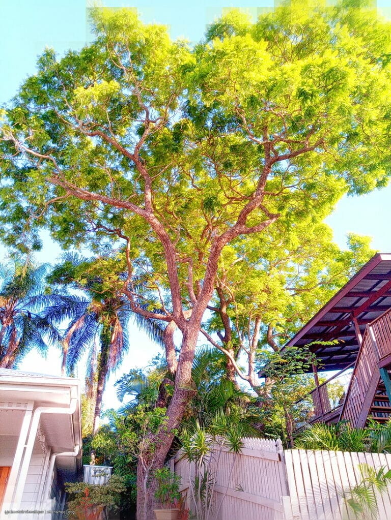 Time is but a Dimension 