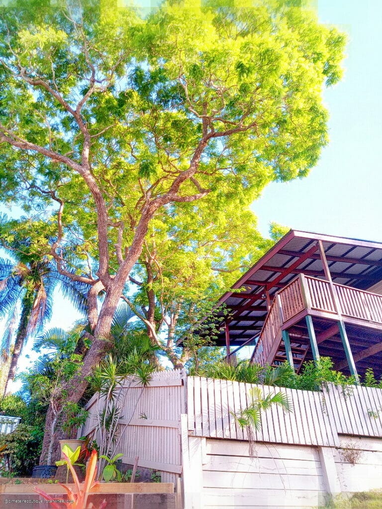 Time is but a Dimension 