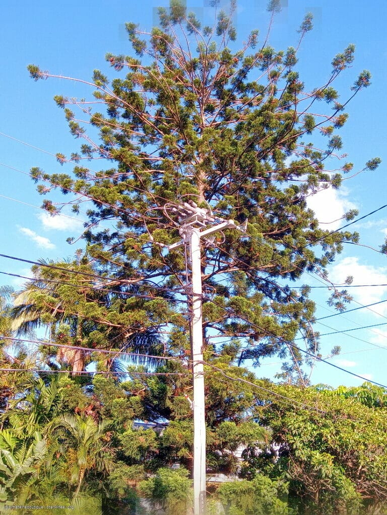 Time is but a Dimension 