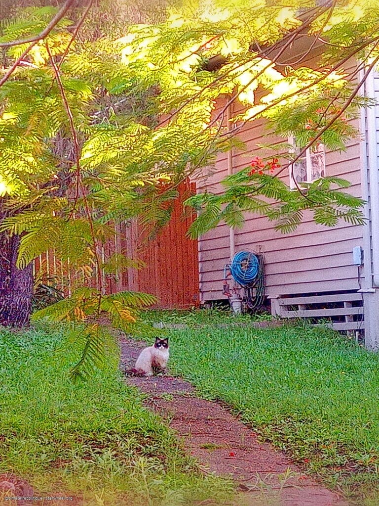 Time is but a Dimension 